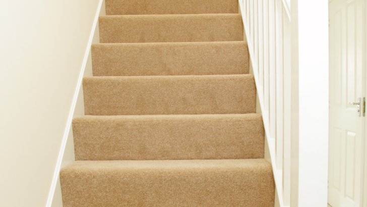 Elevate your home's style and comfort to new heights with the tactile luxury and durability of textured beige carpet on your stairs. 