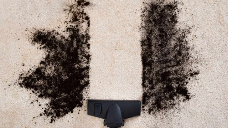 Hints and Tips on Keeping Your Carpet Pristine!