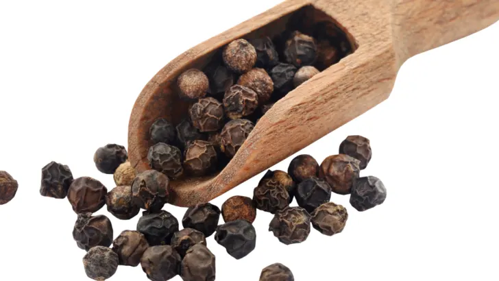 Flavors of the Past - Delving into the World of Kitchen Pepper