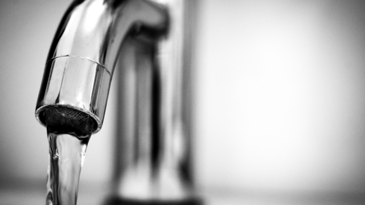 Water's Best Friend – Faucets That Wow.